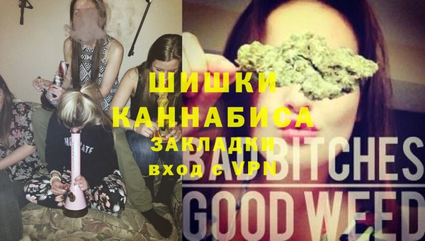 гидропоника Богданович