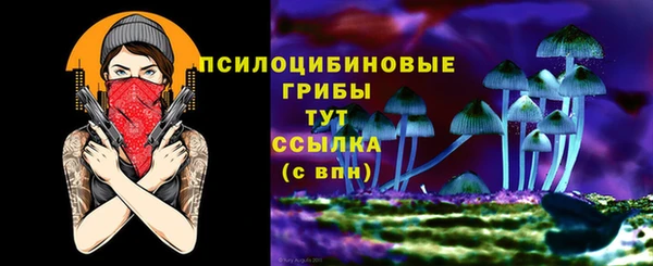 гидропоника Богданович