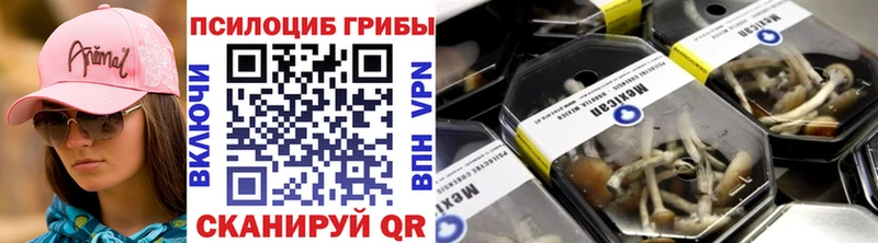 продажа наркотиков Волосово Псилоцибиновые грибы GOLDEN TEACHER